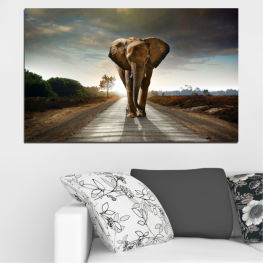 Animal, Wildlife, Animals, Natural, Park, Travel, Road, Wild, Elephant, Vacation, Wilderness, Safari, Savanna, Powerful, Herbivore, Strong, National, Mammal, Trunk, Tusk, Ivory, Elephants, Ears, Endangered, Five, Tusker, Conservation, Bull