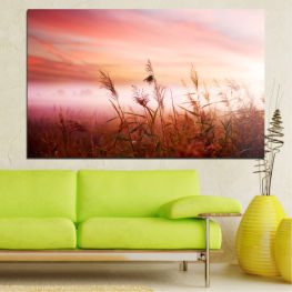 Landscape, Nature, Spring, Sunset, Tree, Summer, Sunlight, Sky, Natural, Meadow, Horizon, Wheatear, Grass, Plant, Field, Clouds, Land, Season, Outdoor, Farm, Wheat, Rural, Countryside, Agriculture, Cereal