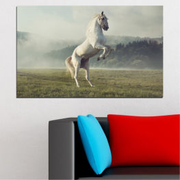 Животни, Природа, Кон, Небе, Поляна, Трева, На открито, Поле, Див, Свобода, На открито, Ферма, Ранчо, Скорост, Езда, Юзда, Селски, Коне, Жребец, Конски, Конен спорт, Кобила, Грива