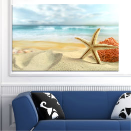 Sea, Beach, Water, Coast, Summer, Ocean, Paradise, Sky, Sunny, Island, Coral, Star, Sand, Tropical, Travel, Holiday, Starfish, Vacation, Shore, Invertebrate, Body of water, Echinoderm