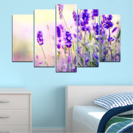 Flowers, Landscape, Nature, Flower, Garden, Summer, Lavender, Natural, Fresh, Plant, Purple, Color, Field, Violet, Bloom, Plants, Herb, Woody plant, Aroma, Floral, Vascular plant, Perfume, Botanical, Shrub, Sage, Herbal