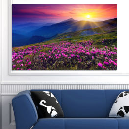 Flowers, Landscape, Nature, Sunrise, Spring, Flower, Sun, Mountain, Summer, Meadow, Sunny, Horizon, Grass, Plant, Field, Clouds, Woody plant, Vascular plant, Rural, Countryside, Shrub, Heath