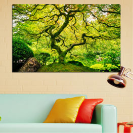 Пейзаж, Природа, Гора, Дърво, Дървета, Естествен, Дърво, Есен, Листо, Листа, Трева, Растение, На открито, Парк, Жълт, Падане, Дървесни растения, Сезон, Клон, На открито, Зеленина