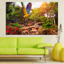 Природа, Пролет, Цвете, Птици, Градина, Лято, Флора, Слънчоглед, Цветен, Листо, Растение, Цвят, Цвят, Папагал, Жълт, Ярък, Птица, Цветен, Венчелистче, Близо, Ара