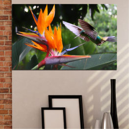 Цветя, Природа, Пролет, Цвете, Птици, Градина, Лято, Флора, Слънчоглед, Листо, Растение, Цвят, Колибри, Жълт, Ярък, Разцвет, Дървесни растения, Листенца, Цветен, Венчелистче, Съдово растение