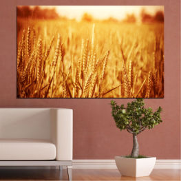 Sun, Summer, Autumn, Wheatear, Field, Yellow, Golden, Gold, Farm, Wheat, Grow, Bread, Seed, Crop, Straw, Grain, Farming, Cereal, Agriculture, Ripe, Harvest, Rural