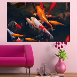 Sea, Water, Ocean, Fish, Food, Orange, Gold, Pond, Swim, Swimming, Underwater, Marine, Aquatic, Goldfish, Aquarium, Carp, Tank, Seafood