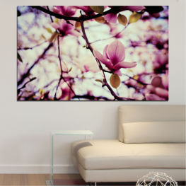 Flowers, Spring, Flower, Tree, Garden, Flora, Natural, Leaf, Plant, Blossom, Bloom, Pink, Woody plant, Season, Blooming, Floral, Branch, Petal, Vascular plant, Magnolia
