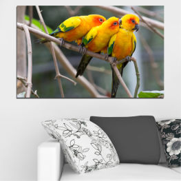 Животни, Дивата природа, Птици, Дърво, Цветен, Тропически, Пера, Крила, Папагал, Жълт, Див, Птица, Клон, Пера, Клюн, Ара, Крило, Менажерия