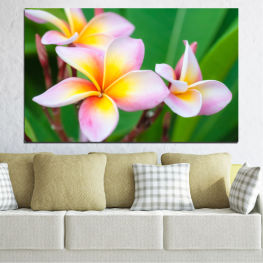 Flowers, Spring, Flower, Bouquet, Summer, Exotic, Flora, Natural, Island, Plant, Blossom, Plumeria, Tropical, Yellow, Bloom, Pink, Woody plant, Floral, Petal, Vascular plant, Shrub