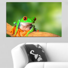 Abstraction, Animal, Wildlife, Tree, Animals, Frog, Reptile, Fauna, Lean out, Amphibians, Eye frog, Crazy frog, Eyed leaf frog, Bulging, Frogs, Look, Eyed tree frog, Eyed, Amphibian, Tree frog