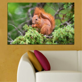 Animal, Wildlife, Forest, Tree, Animals, Hair, Wild, Squirrel, Monkey, Brown, Funny, Cute, Mammal, Jungle, Rodent, Furry, Primate, Guinea pig, Hairy, Nose