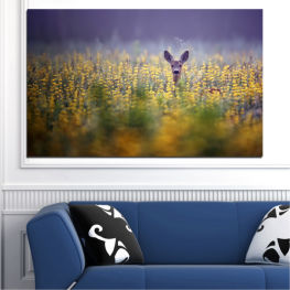 Landscape, Animal, Sunrise, Wildlife, Sunset, Forest, Tree, Sunlight, Meadow, Grass, Roe, Outdoors, Park, Cactus, Wild, Silhouette, Deer, Mammal, Bunny, Hare, Giraffe