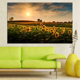 Landscape, Nature, Flower, Sun, Sunset, Summer, Sunflower, Meadow, Sunny, Grass, Plant, Field, Yellow, Herb, Vascular plant, Farm, Country, Rural, Countryside, Agriculture
