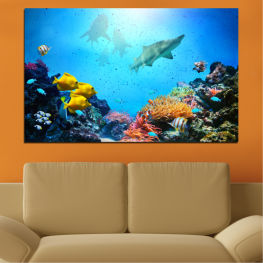 Sea, Animal, Water, Exotic, Ocean, Coral, Fish, Tropical, Travel, Scuba, Dive, Saltwater, Natural elevation, Ridge, Coral reef, Reef, Aquatic, Diving, Marine, Underwater