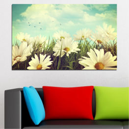 Flowers, Landscape, Spring, Flower, Daisy, Garden, Summer, Flora, Sunflower, Meadow, Grass, Plant, Blossom, Field, Yellow, Bloom, Herb, Petals, Floral, Petal