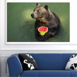 Animal, Wildlife, Water, Animals, Teeth, Watermelon, Park, Wild, Bear, Brown, Safari, Head, Cute, Mammal, Predator, Carnivore, Dangerous, Furry, Brown bear