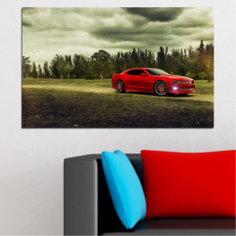 Forest, Car, Automobile, Motor, Vehicle, Cloud, Sport, Road, Luxury, Auto, Transport, Drive, Speed, Transportation, Power, Wheel, Motor vehicle, Fast, Wheeled vehicle, Coupe, Self-propelled vehicle, Hatchback