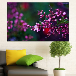 Flowers, Spring, Flower, Tree, Garden, Leaf, Fresh, Plant, Blossom, Bloom, Pink, Woody plant, Blooming, Floral, Branch, Petal, Botany, Vascular plant, Shrub, Heath, Western redbud