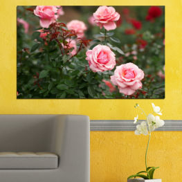 Flowers, Flower, Garden, Bouquet, Rose, Love, Plant, Blossom, Gift, Bloom, Pink, Woody plant, Roses, Petals, Floral, Petal, Vascular plant, Shrub, Camellia
