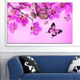 Flowers, Orchid, Spring, Flower, Summer, Butterfly, Lilac, Decoration, Leaf, Graphic, Plant, Blossom, Design, Decor, Shape, Pink, Decorative, Pattern, Floral, Frame, Swirl