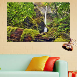 Landscape, Nature, Waterfall, Water, Forest, Tree, Mountain, River, Rocks, Park, Stone, Rock, Fall, Environment, Woody plant, Stream, Cascade, Flowing, Outdoor, Vascular plant, Moss, Bonsai