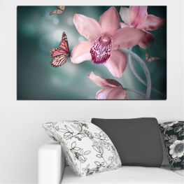 Flowers, Orchid, Spring, Water, Flower, Garden, Summer, Butterfly, Flora, Leaf, Leaves, Plant, Blossom, Bloom, Pink, Petals, Blooming, Floral, Petal, Botany, Lily, Lotus