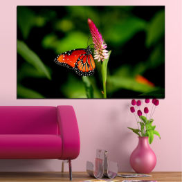 Λουλούδια, Φύση, Άνοιξη, Λουλούδι, Κήπος, Καλοκαίρι, Πεταλούδα, Γραφικός, Φυτό, Παρασκήνια, Πορτοκάλι, Βότανο, Έντομο, Κλείσε, Πτέρυγα, Αρθρόποδα, Κεραία, Πέταγμα, Μονάρχης, Νέκταρ