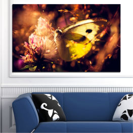 Цветя, Животни, Цвете, Пеперуда, Светлина, Украса, Цветен, Растение, Цвят, Пламък, Черно, Празник, Портокал, Жълт, Ярък, Билка, Сезон, Злато, Осветление, Съдово растение, Насекомо, Покриване